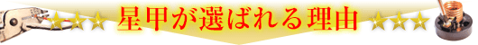 星甲が選ばれる理由